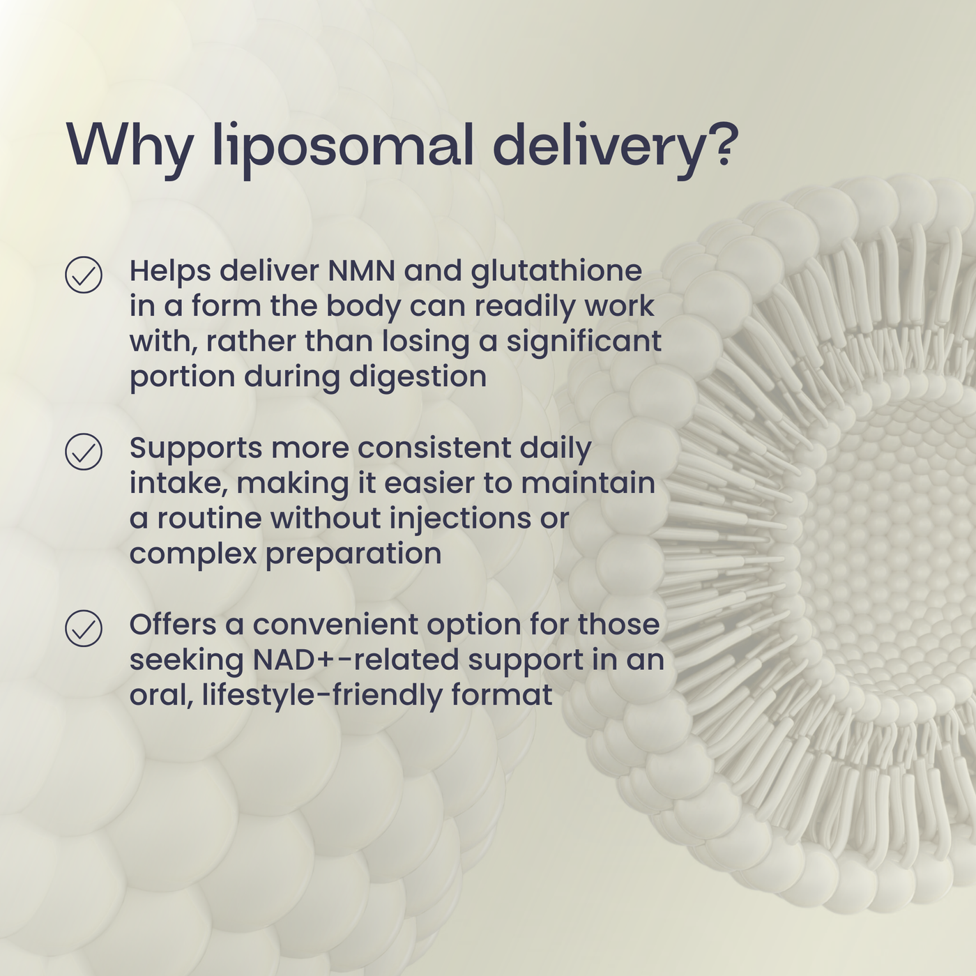 Liposomal NMN + Glutathione Supplement